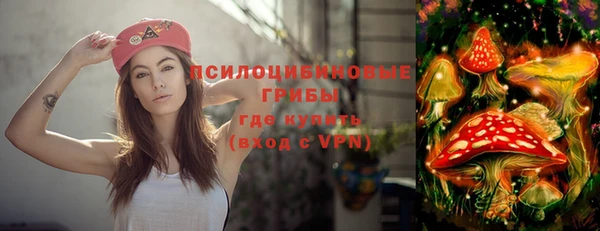 стаф Бугульма