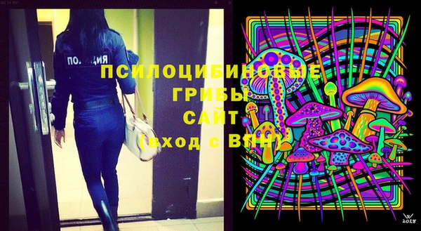 соль ск Верея