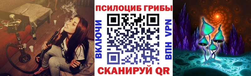 Псилоцибиновые грибы мицелий  Купить где  Кодинск 